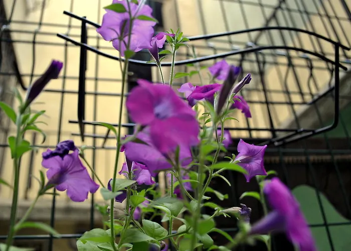 מלון דירות Eastncool איסטמבול